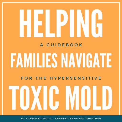 Helping Families Navigate Toxic Mold